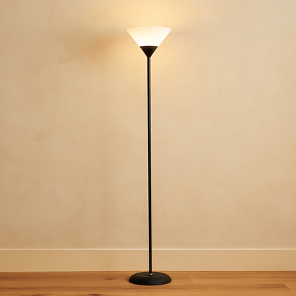 Modern floor lamp with metal cone shade and adjustable color lighting, perfect for adding stylish and functional light to living rooms or bedrooms.